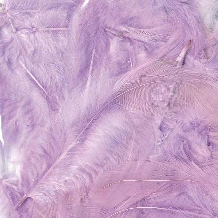 بنفسجي فاتح